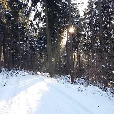 Ferienwohnung Bergblick * Kleingiesshubel